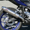 RPM A[s[G 80D-RAPTOR TitanySLIP-ONz 6050Y YAMAHA YZF-R25 `^ SUS