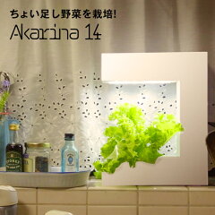 https://thumbnail.image.rakuten.co.jp/@0_mall/motom/cabinet/akarina_shouhin/05210415/oma14_180125_1ra.jpg