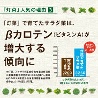 水耕栽培キット【メーカー直営MotoM灯菜】Akarina01サラダ菜種子液体肥料培地スポンジ付属OMA01家庭菜園野菜おしゃれインテリア照明ハーブ栽培種子栽培led水耕栽培器植物育成ライトプランター
