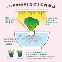 水耕栽培キット【メーカー直営MotoM灯菜】Akarina01サラダ菜種子液体肥料培地スポンジ付属OMA01家庭菜園野菜おしゃれインテリア照明ハーブ栽培種子栽培led水耕栽培器植物育成ライトプランター