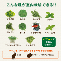 水耕栽培キット【メーカー直営MotoM灯菜】Akarina01サラダ菜種子液体肥料培地スポンジ付属OMA01家庭菜園野菜おしゃれインテリア照明ハーブ栽培種子栽培led水耕栽培器植物育成ライトプランター