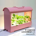 【ポイント11倍ワンダブル5/1限定】水耕栽培キット Akarina05ピンク LED サラダ菜タネ・スポンジ・液体肥料付き 灯菜