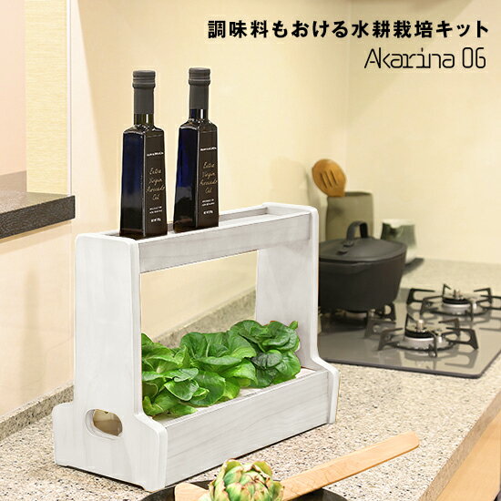 ［訳ありのお買い得品］水耕栽培キット ホワイト 灯菜 Akarina06 OMA06WHサラダ菜タネ スポンジ 液体肥..