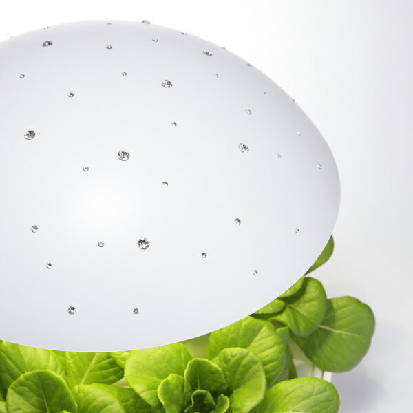 [MotoM����]��̺��ݥ��å� ��̺����Ѿ��� Akarina01 ���饭��С������ ��� ��ʪ���ݴ� �����ڱ� LED���� ��ʪ�����饤�� ��Ȫ ���å� ���å� ����ƥꥢ ���� �����꡼�� LED �����ԥ����� ���� ��� �᡼���� �֥��� MotoM ��ȥ� �����ԥ�����