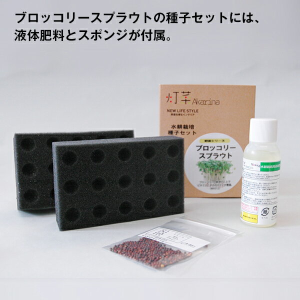 [MotoM公式]水耕栽培ランプ 植物育成ライト ブロッコリースプラウト ガーデニング ...