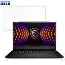 msi TITAN GT77 17.3インチ 16:9 向けの ブルーライトカット フィルム 液晶保護フィルム 光沢仕様(2)