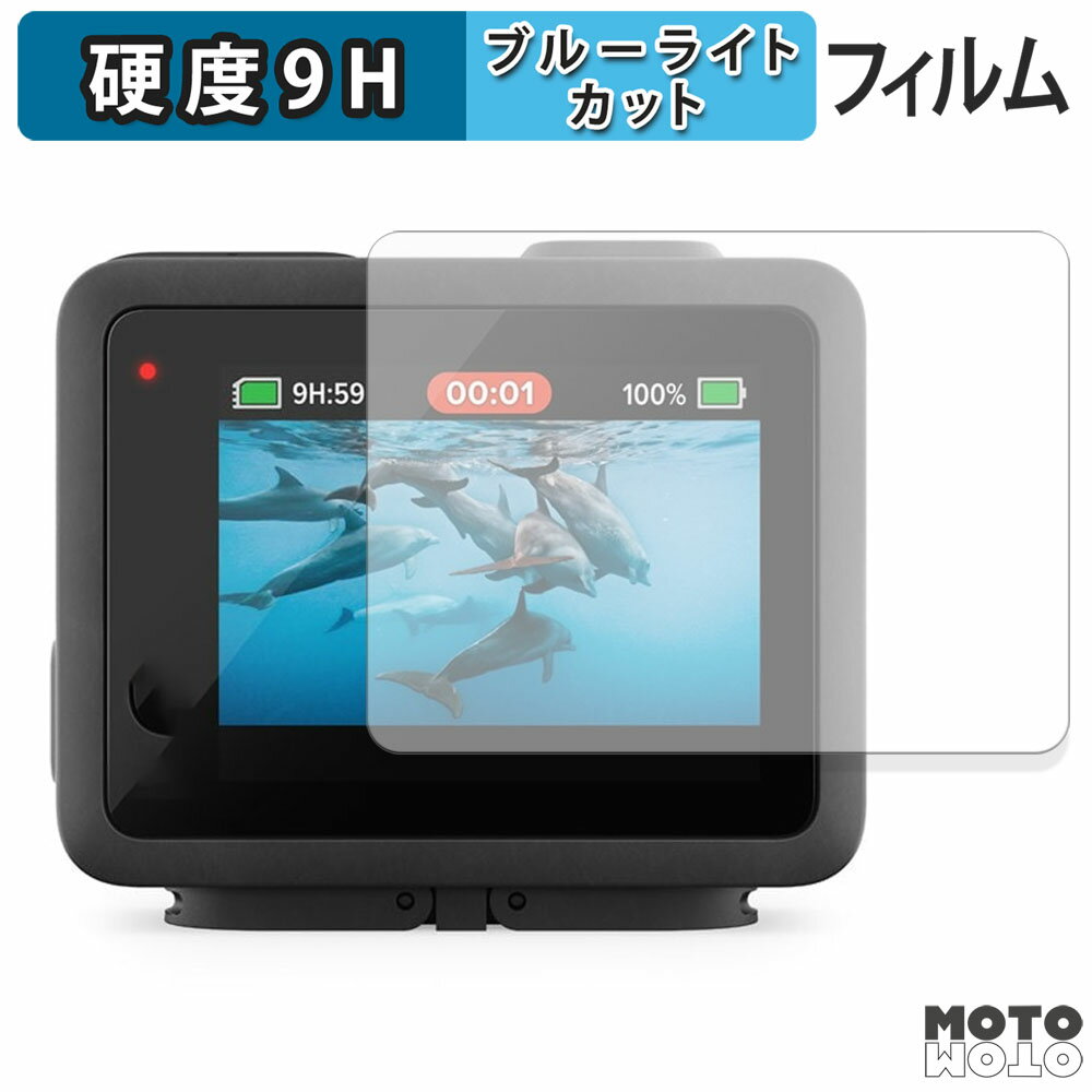 保護フィルム Gopro HERO ( 2024年発売モデル )( ディスプレイ ) 向けの ブルーライトカット フィルム 9H高硬度 高透過率 日本製