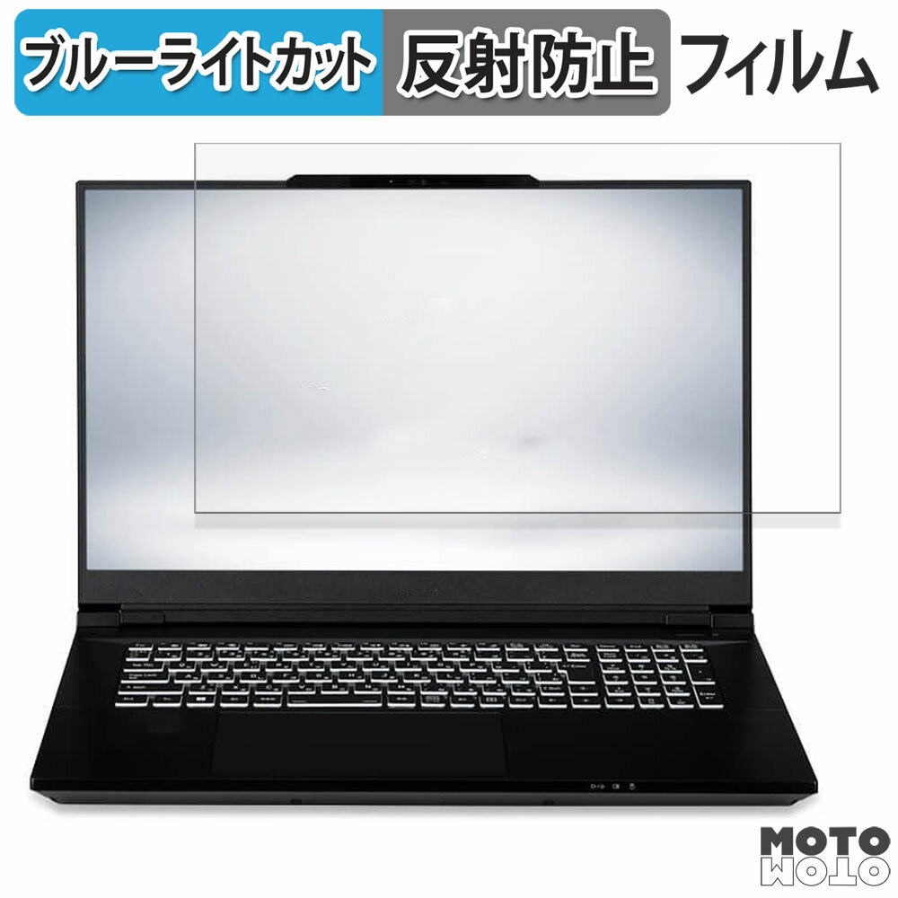 楽天モットモット楽天市場店iiyama STYLE INFINITY 17型 （ 17WG ） シリーズ 17.3インチ 16:9 向けの 保護フィルム ブルーライトカット アンチグレア
