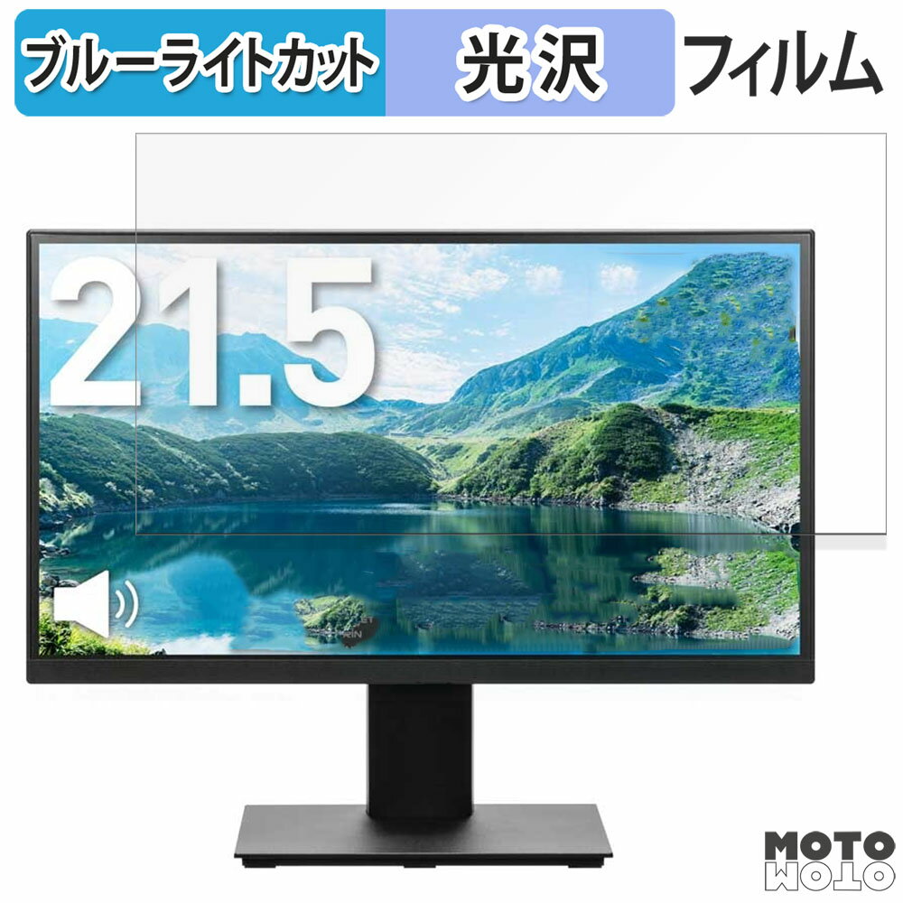 PRINCETON PTF-H221W-BK  21.5 16:9 ֥롼饤ȥå ե վݸե 