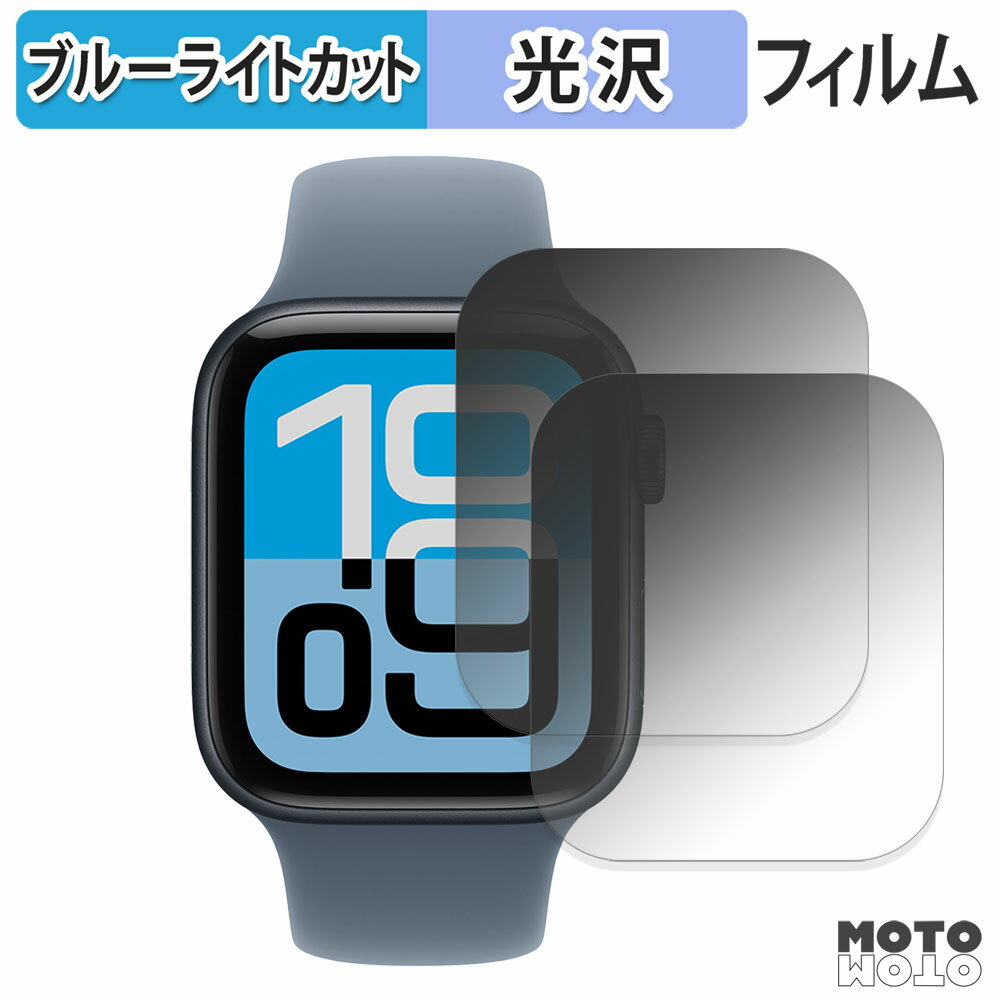 【ポイント2倍】 保護フィルム Apple Watch SE 3 ( 44mm ) (2枚セット) ブルーライトカット フィルム ..