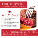 ハンバーガー パテ ハンバーガー バーベキュー パティ BBQ 食材 キャンプ ハンバーガー用冷凍バンズ＆バーガーパティ5個セット 母の日 お取り寄せグルメ お取り寄せ グルメ 2