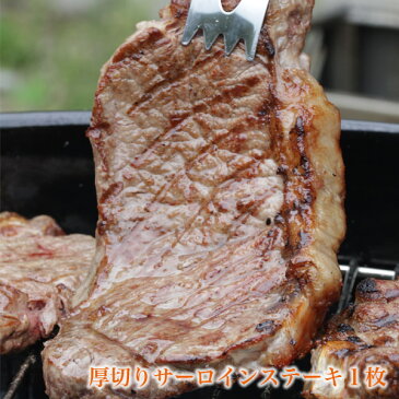 3〜4人前 BBQ3点盛セット1．1kg バーベキューセット サーロイン ステーキ バーベキュー 肉 アウトドア 食材 BBQ パーティー キャンプ グランピング バーベキュー 肉 セット 材料 贈り物 ギフト お祝い プレゼント