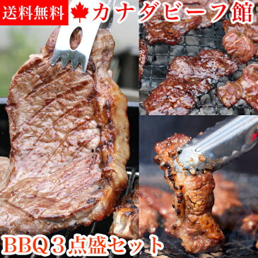 3〜4人前 BBQ3点盛セット1．1kg バーベキューセット サーロイン ステーキ バーベキュー 肉 アウトドア 食材 BBQ パーティー キャンプ グランピング バーベキュー 肉 セット 材料 贈り物 ギフト お祝い プレゼント