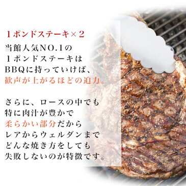 8〜10人前 BBQ8点盛セット3．1kgプレゼント付！ バーベキューセット サーロイン ステーキ BBQ パーティー アウトドア 食材パーティー キャンプ グランピング バーベキュー 肉 贈り物 ギフト お祝い