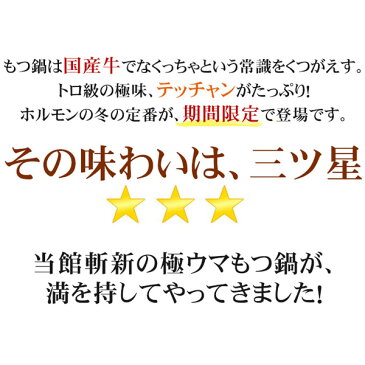 お歳暮 三ツ星もつ鍋セット（2〜3人前） ホルモン もつ シマチョウ もつ鍋 もつ鍋スープ もつなべ BBQ バーベキュー キャンプ パーティー キャッシュレス 還元