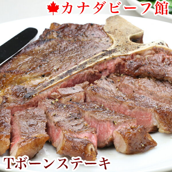 ステーキ 肉 tボーンステーキ 600〜700g バーベキュー ヒレステーキ 牛肉 ヒレ肉 ステーキ肉 赤身 骨付き肉 厚切り 贈り物 ギフト お祝い プレゼント BBQ 食材 キャンプ 冷凍食品 お取り寄せグルメ お取り寄せ グルメ