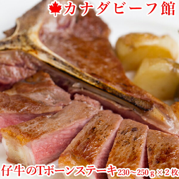 ステーキギフト ステーキ肉 数量限定 仔牛のTボーンステーキ2枚セット Tボーンステーキ ヒレステーキ 牛肉 ヒレ 赤身肉 骨付き 厚切り ステーキ 贈り物 ギフト お祝い プレゼント BBQ 食材 キャンプ 冷凍食品 母の日 お取り寄せグルメ お取り寄せ グルメ