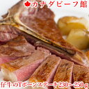 楽天カナダビーフ館ステーキ 肉 tボーンステーキ ヒレステーキ ヒレ肉 牛肉 ヒレ ステーキ肉 赤身 骨付き肉 贈り物 ギフト お祝い プレゼント BBQ 食材 キャンプ 冷凍食品 食品 仔牛のTボーンステーキ約230～250g 母の日 お取り寄せグルメ お取り寄せ グルメ