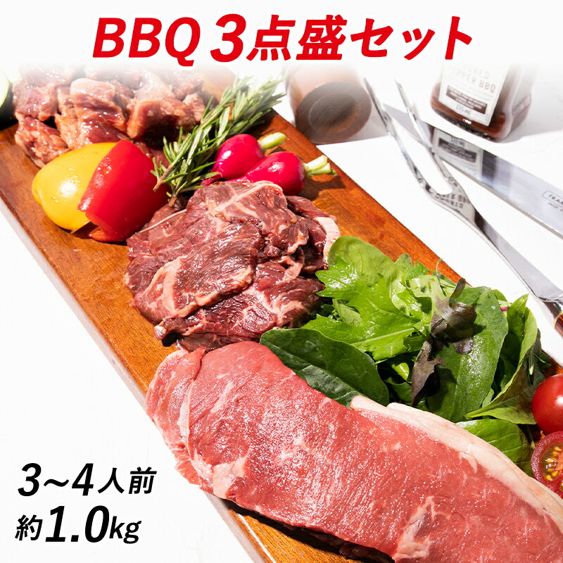 ステーキギフト 【11日1時59分まで5,890円→5,300円】 バーベキューセット バーベキュー 肉 1kg 焼肉 焼き肉 牛肉 サーロイン ステーキ サガリ カルビ 食材 BBQ キャンプ 材料 贈り物 ギフト お祝い プレゼント 3～4人前 BBQ3点盛セット 1.0kg 母の日 お取り寄せグルメ お取り寄せ グルメ福