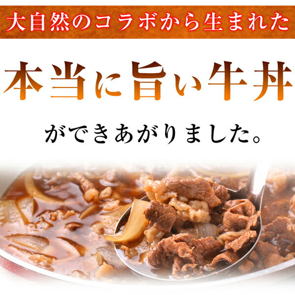 冷凍食品 牛丼 時短 簡単 セット 肉 阿蘇名水仕込みのつゆだく牛丼160g*10個セット あす楽 贈り物 ギフト お祝い プレゼント 牛丼の具 冷凍食品 小分け