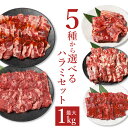 ＼お試し／【2セット購入でおまけ付】肉 牛肉 焼肉 焼き肉 メガ盛り 1kg 和牛ハラミ タレ漬け 味付け 牛ハラミ 柔らかい 味付け肉 味付き肉 ホルモン焼き 小腸 ホルモン 牛 シマチョウ アカセンマイ おうち焼肉セット おうち焼肉 お肉セット 冷凍 BBQ 焼き肉セット 1キロ