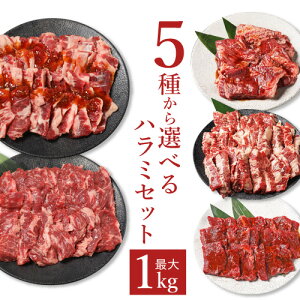 ハラミ 1kg 焼肉 焼き肉 焼肉セット お取り寄せグルメ バーベキュー 食材 牛ハラミ 肉 バーベキュー BBQ 牛肉 食材 はらみ 冷凍食品 最大1kg組み合わせ自由！5種から選べるはらみセット