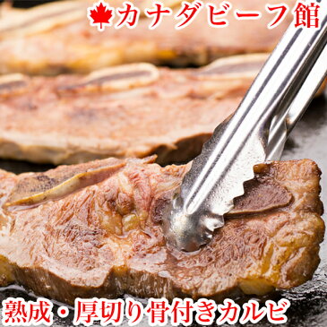 【20％OFF★スーパーSALE対象】熟成・厚切り骨付きカルビ★普通の2倍の厚み！肉汁が逃げずとてもジューシーな仕上がり★ミディアムでも旨い！ カルビ バーベキュー 肉 BBQ キャンプ グランピング 骨付き肉 BBQ 食材 あす楽 贈り物 ギフト お祝い プレゼント パーティ