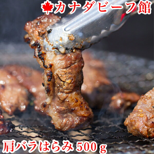 ハラミ カルビ 焼肉 焼き肉 バーベ