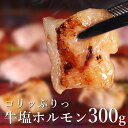 牛 塩ホルモン 300g ホルモン おつまみ BBQ バーベキュー 焼肉 焼き肉 冷凍 冷凍食品 お取り寄せグルメ お取り寄せグルメ