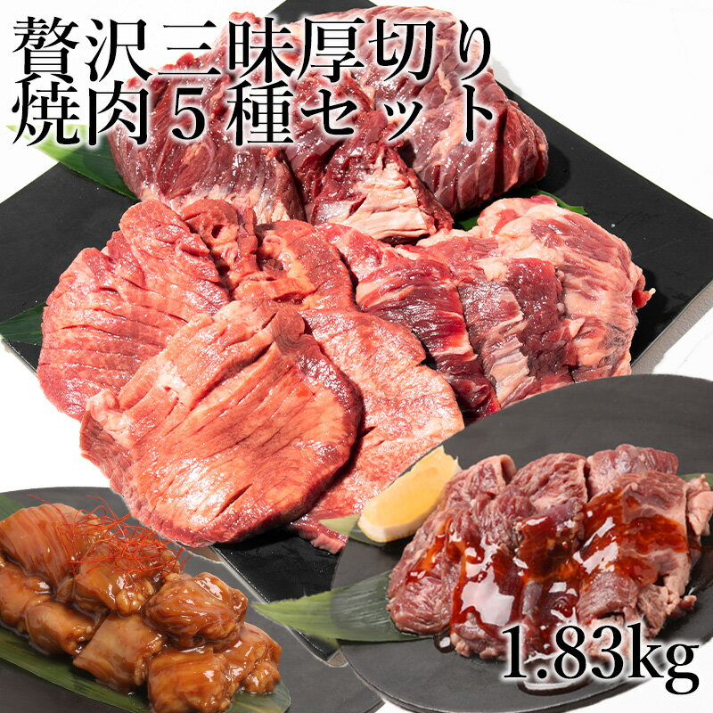 肉セット 【11日1時59分まで9,980円→8,980円】 焼肉 焼肉セット 肉 福袋 ギフト 焼き肉 バーベキュー 牛タン ハラミ カルビ 牛はらみ 食材 バーベキューセット 母の日 お取り寄せグルメ 内祝い BBQ お取り寄せ グルメ 8～10人前 冷凍食品