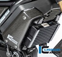 DUCATI スクランブラー1100 カーボン ラジエーターカバー 右 グロス イルムバーガー