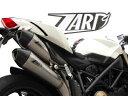 ザード(Zard) フルエキゾースト コニカルサイレンサー チタン-チタン レーシング DUCATI ストリートファイター