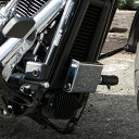 寺田モータース (日本無線ETC車載機器用) ロックケースセット クローム オフセットボルトタイプ