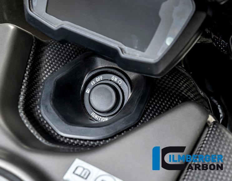 ディアベル1260 マットカーボン イグニッションスイッチカバー ドゥカティ イルムバーガー