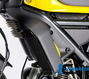 カーボン ラジエーターカバー 左 マット DUCATI スクランブラー(Scrambler Icon 15-/Classic 15-/Desert Sled 1...