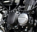 KIJIMA キジマ ドレスアップパルサーカバーセット バフ仕上げ カワサキ Z900RS/CAFE