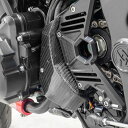 カワサキ Z900RS/CAFE カーボンハーネスプロテクター アーキ