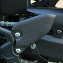 Z900RS ヒールプレート 左右セット ドライカーボン SPEEDRA