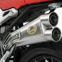 RnineT 17-20 スリップオンマフラー "SPECIAL EDITION" レース用 ZARD