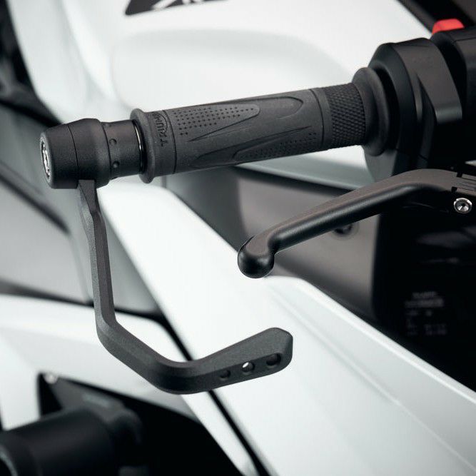 トライアンフ デイトナ660 ブレーキ＆クラッチレバー プロテクターキット (Race) エボテックパフォーマンス