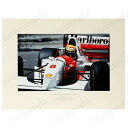 雑貨 オンリーワン レジェンド コレクション AYRTON SENNA -McLAREN FORD -Winner- GRAND PRIX DE MONACO ...