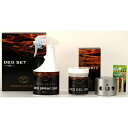 【送料無料】プレミアムデオ デオセット トータル消臭セット(PREMIUM DEO DEO SET)(カー用品 バイク用品 消臭剤 消臭 芳香剤 車 車用品 通販 楽天)