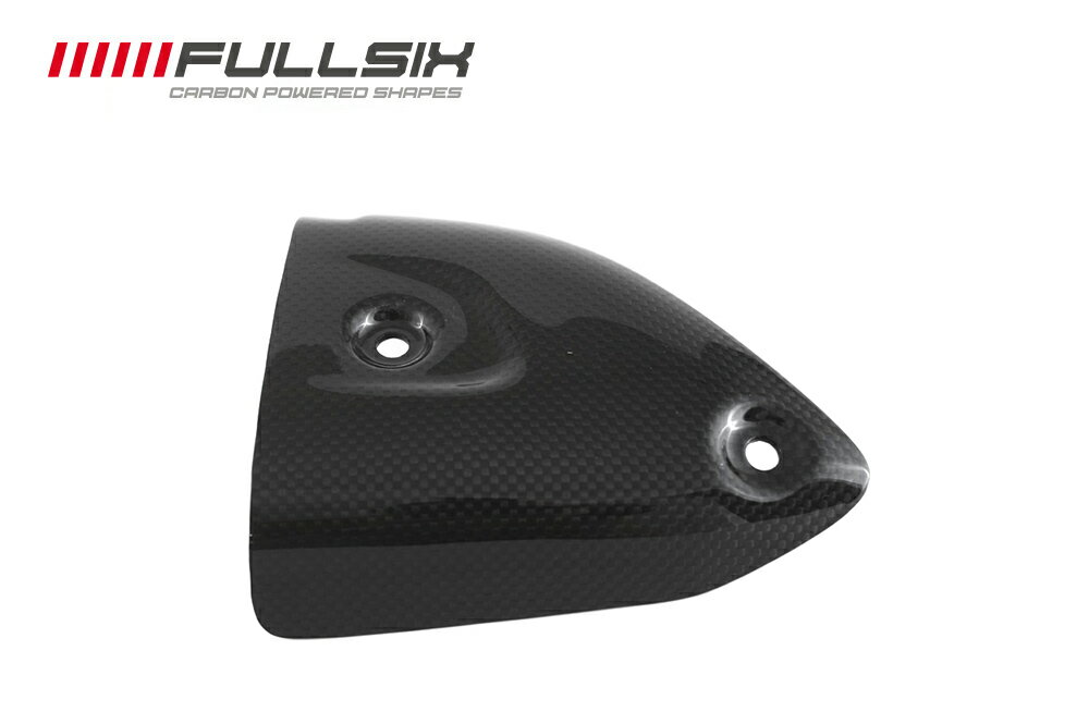 FULLSIX (フルシックス）サイレンサープロテクター（TERMIGNONIマフラー用）（右側）DUCATI 1299Paniga..