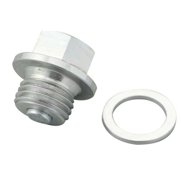 デイトナ 16773 リプレイスドレンボルト マグネット付き M14×9×P1.5 DUCATI Panigale959（16）等