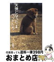 著者：大和書房出版社：大和書房サイズ：単行本ISBN-10：4479770488ISBN-13：9784479770480■こちらの商品もオススメです ● ペットたちは死後も生きている / ハロルド シャープ, Harold Sharp, 小野 千穂 / 日本教文社 [単行本] ● 天使になったペットたち 猫編 / 大和書房 / 大和書房 [単行本] ■通常24時間以内に出荷可能です。※繁忙期やセール等、ご注文数が多い日につきましては　発送まで72時間かかる場合があります。あらかじめご了承ください。■宅配便(送料398円)にて出荷致します。合計3980円以上は送料無料。■ただいま、オリジナルカレンダーをプレゼントしております。■送料無料の「もったいない本舗本店」もご利用ください。メール便送料無料です。■お急ぎの方は「もったいない本舗　お急ぎ便店」をご利用ください。最短翌日配送、手数料298円から■中古品ではございますが、良好なコンディションです。決済はクレジットカード等、各種決済方法がご利用可能です。■万が一品質に不備が有った場合は、返金対応。■クリーニング済み。■商品画像に「帯」が付いているものがありますが、中古品のため、実際の商品には付いていない場合がございます。■商品状態の表記につきまして・非常に良い：　　使用されてはいますが、　　非常にきれいな状態です。　　書き込みや線引きはありません。・良い：　　比較的綺麗な状態の商品です。　　ページやカバーに欠品はありません。　　文章を読むのに支障はありません。・可：　　文章が問題なく読める状態の商品です。　　マーカーやペンで書込があることがあります。　　商品の痛みがある場合があります。