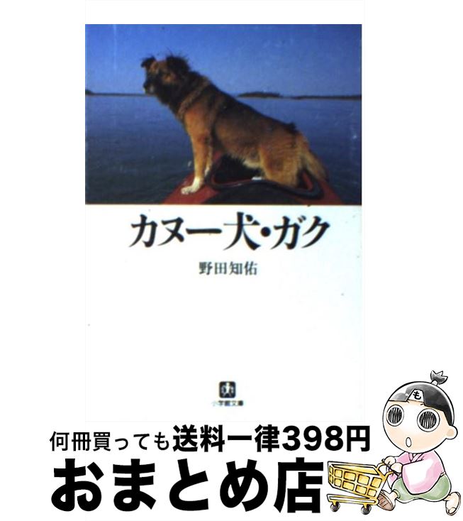 【中古】 カヌー犬・ガク / 野田 知
