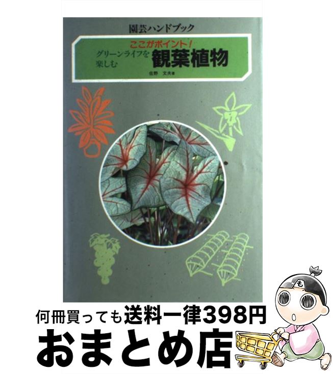 【中古】 観葉植物 ここがポイント！　グリーンライフを楽しむ / 佐野文夫 / 学研プラス [単行本]【宅配便出荷】
