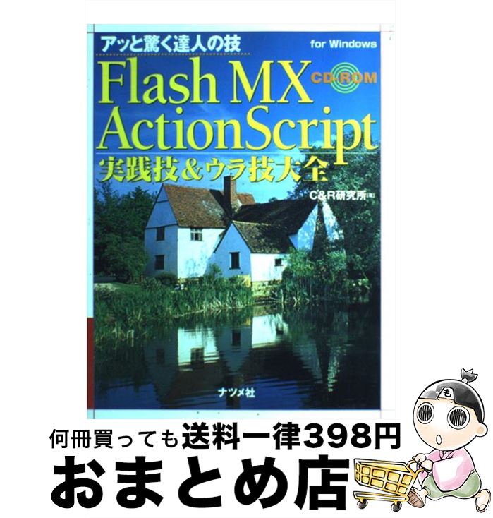 【中古】 Flash　MX　ActionScript実践技