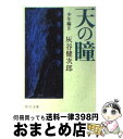 【中古】 天の瞳 少年編　2 / 灰谷 健次郎 / KADOKAWA [文庫]【宅配便出荷】