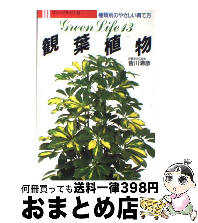 【中古】 観葉植物 種類別のやさしい育て方 / 皆川 清彦 / 永岡書店 [単行本]【宅配便出荷】